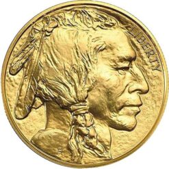 1 oz american buffalo gold coin