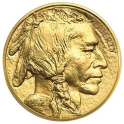 1 oz gold buffalo coin