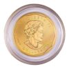 Canadian maple leaf gold coin 1 oz