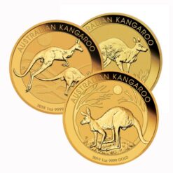 Gold coin Australian kangaroo