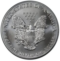 Silver double eagle coin