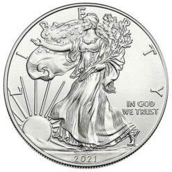 Silver eagle coins